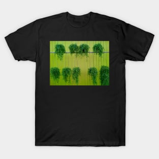 Green Hanging Baskets T-Shirt